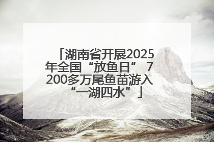 湖南省开展2025年全国“放鱼日” 7200多万尾鱼苗游入“一湖四水”